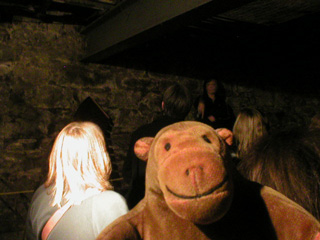 Mr Monkey listening to the Seattle Underground guide