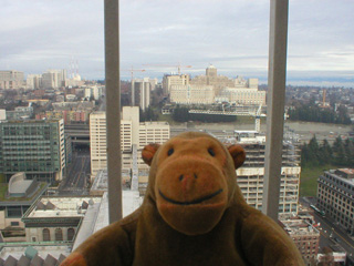 Mr Monkey looking at the cathedral from Cathedral Close