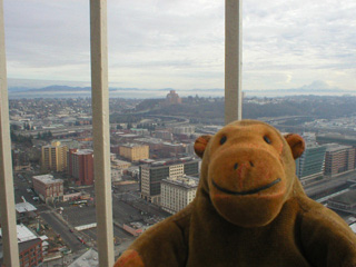 Mr Monkey looking South from the Smith Tower