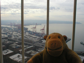 Mr Monkey looking at the Port of Seattle from the Smith Tower