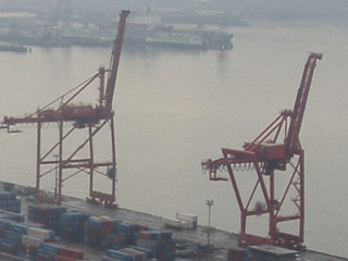 Cranes at the Port of Seattle