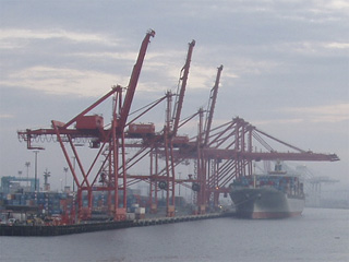 Cranes at the Port of Seattle