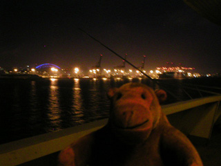 Mr Monkey looking at the Port of Seattle at night