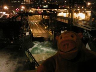 Mr Monkey watching as the ferry approaches the dock