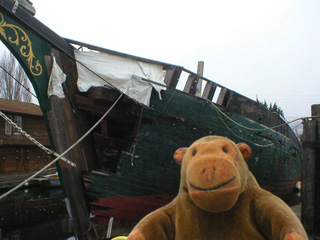 Mr Monkey looking at the schooner Wawona