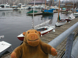 Mr Monkey looking at the Center for Wooden Boats' small boats