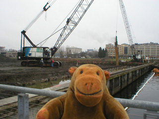 Mr Monkey watching construction work in Lake Union Park