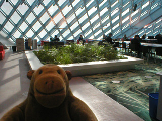 Mr Monkey looking at the plants in the Living Room