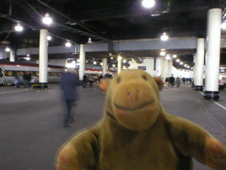 Mr Monkey on a platform at Euston station