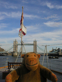 Mr Monkey looking at the White Ensign flying on the stern of the Belfast
