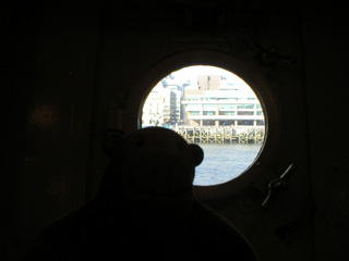 Mr Monkey looking out of a porthole in the sickbay