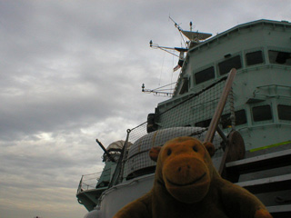 Mr Monkey looking up at the bridge