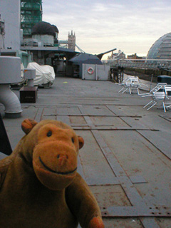 Mr Monkey crossing the boat