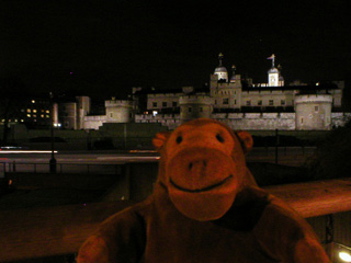 Mr Monkey looking at the Tower of London at night