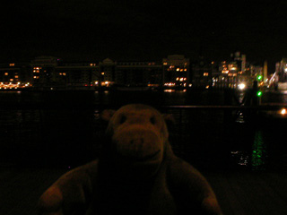 Mr Monkey looking at Butler's Wharf at night