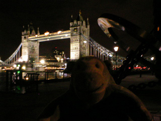Mr Monkey looking at Tower Bridge at night