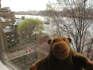 Mr Monkey looking downriver from his hotel window