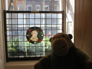 Mr Monkey looking at the dining room window
