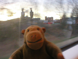 Mr Monkey looking out of the train at sunset