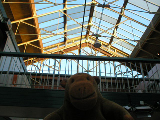 Mr Monkey looking up at the roof of the Craft and Design Centre
