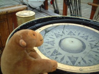 Mr Monkey reading a ship's compass