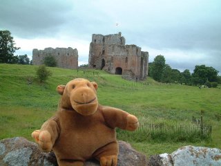 Mr Monkey outside Brougham Castle