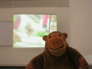 Mr Monkey looking at one of Amy Cham's video screens