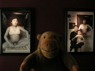 Mr Monkey looking at the 2005 and 2006 pictures in the The Mother as a Creator series