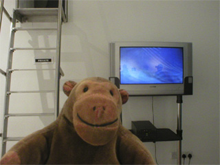 Mr Monkey watching a video by Ma Yong Feng