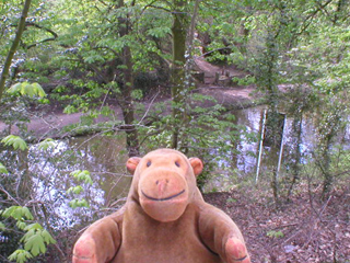 Mr Monkey looking down on the Peak Forest Canal