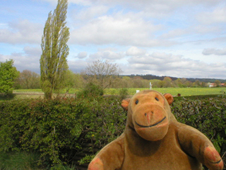 Mr Monkey looking across some fields