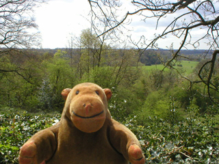 Mr Monkey looking at a tree filled valley