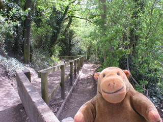 Mr Monkey looking at the path down to the Peak Forest Canal