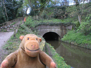 Mr Monkey looking at a canal tunnel entrance