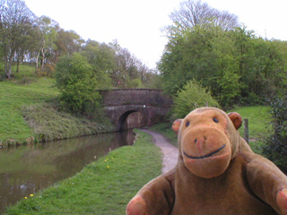 Mr Monkey approaching a small bridge
