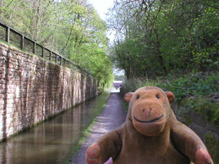 Mr Monkey walking through a narrow section of the canal