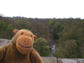 Mr Monkey looking down at the Goyt valley from the aqueduct