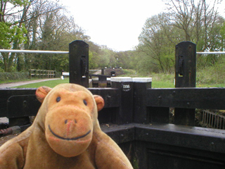 Mr Monkey looking at the top of the lower lock gate