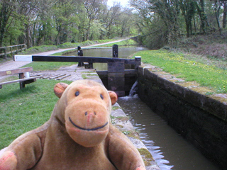 Mr Monkey looking at a lock full of water