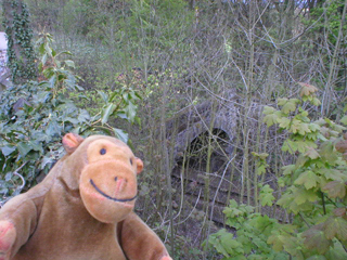 Mr Monkey looking down at a railway tunnel