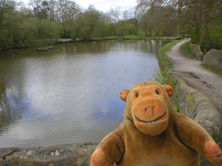 Mr Monkey looking at the pool between locks 6 and 7