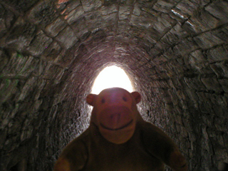 Mr Monkey inside the oval horse tunnel