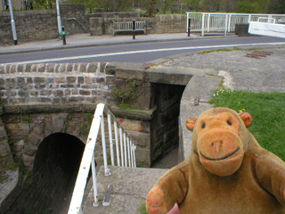 Mr Monkey looking at the steps down to the canal