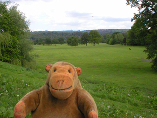 Mr Monkey looking across Brabyns Park
