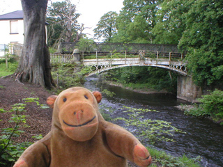 Mr Monkey looking at Brabyns Park bridge