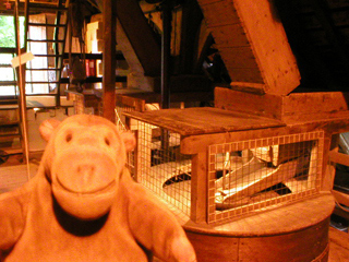 Mr Monkey looking at one of the sets of stones