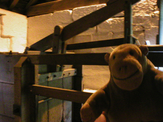 Mr Monkey inspecting the penstock