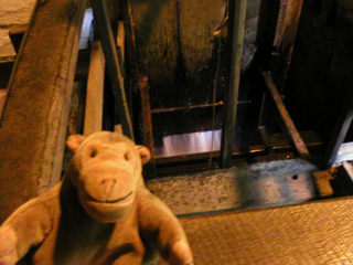 Mr Monkey watching water drain through a sluice