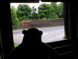 Mr Monkey looking out of one of the windows in the front of the mill