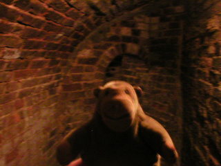 Mr Monkey inside the drying kiln basement
